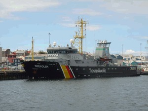 Seeadler in Reykjavik