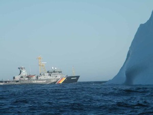 Seeadler passiert Eisberg