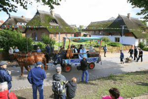 Vom Hafen zur Großen Straße (heute E. Thälmann Str.) Vom Hafen zur Großen Straße (heute E. Thälmann Str.)